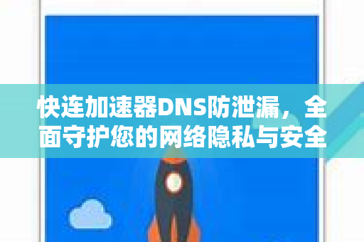 快连加速器DNS防泄漏，全面守护您的网络隐私与安全
